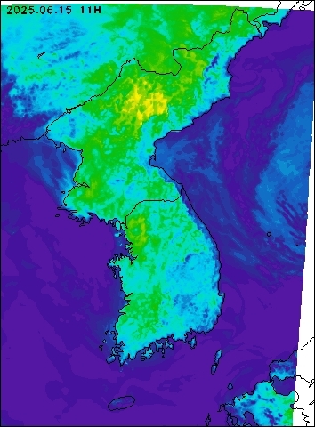 2025-06-15 11 : 00