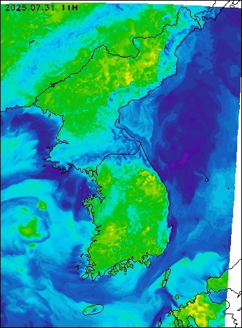 2025-07-31 11 : 00