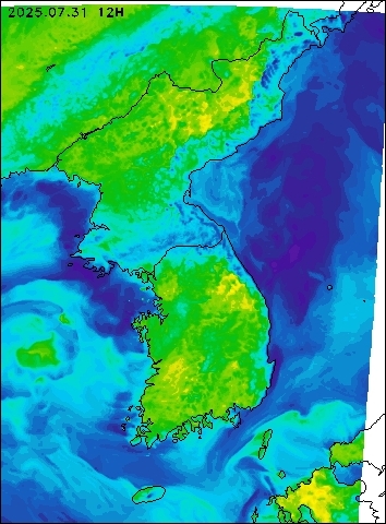 2025-07-31 12 : 00