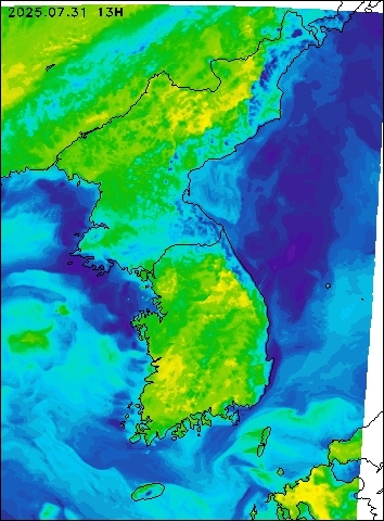 2025-07-31 13 : 00