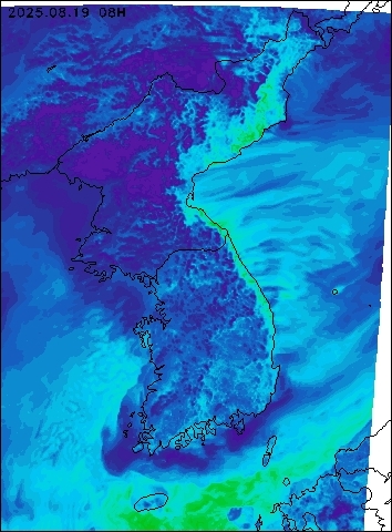 2025-08-19 08 : 00