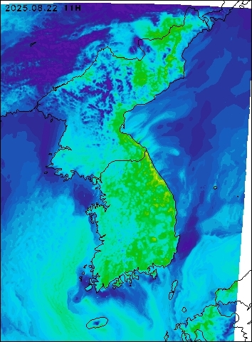 2025-08-22 11 : 00