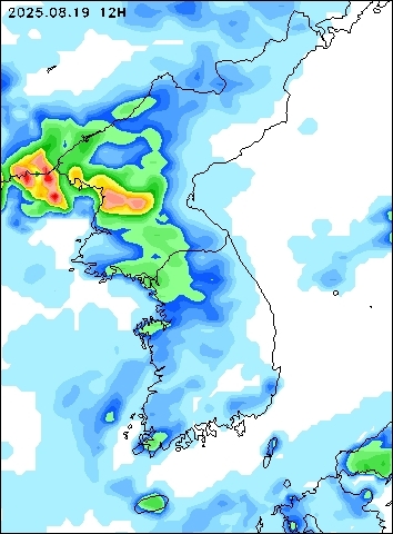 2025-08-19 12 : 00