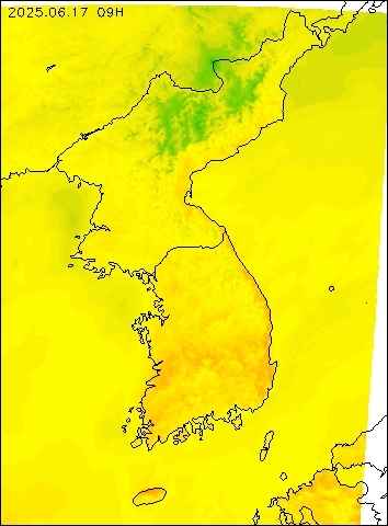 2025-06-17 09 : 00