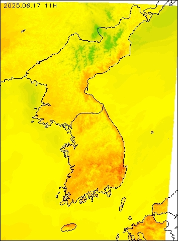 2025-06-17 11 : 00