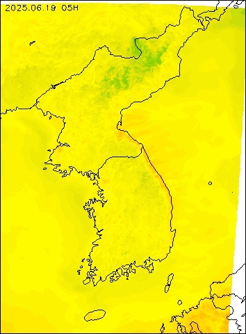 2025-06-19 05 : 00