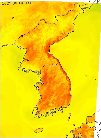 2025-06-19 11 : 00