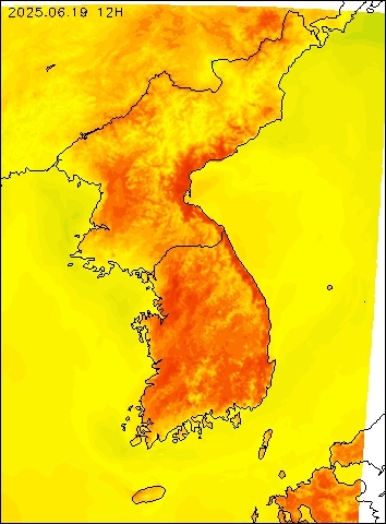 2025-06-19 12 : 00