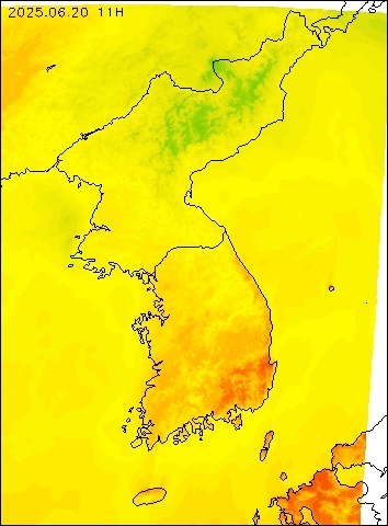 2025-06-20 11 : 00