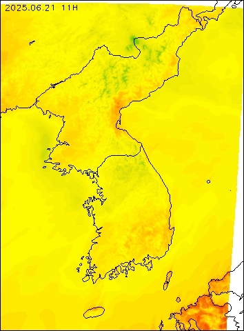 2025-06-21 11 : 00