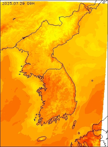 2025-07-29 09 : 00