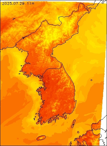 2025-07-29 11 : 00