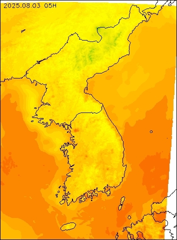 2025-08-03 05 : 00