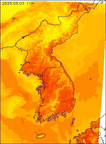 2025-08-03 11 : 00