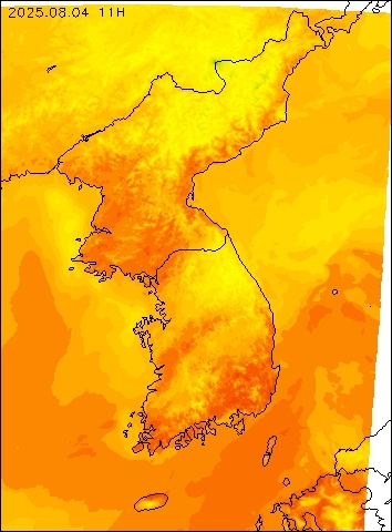 2025-08-04 11 : 00