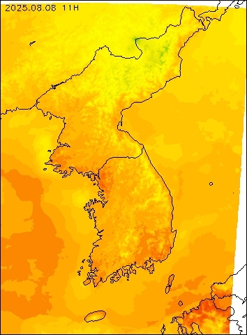 2025-08-08 11 : 00