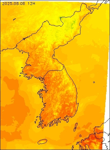 2025-08-08 12 : 00
