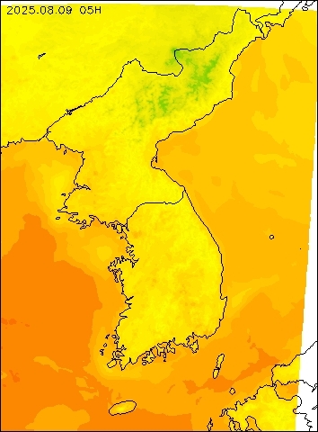 2025-08-09 05 : 00