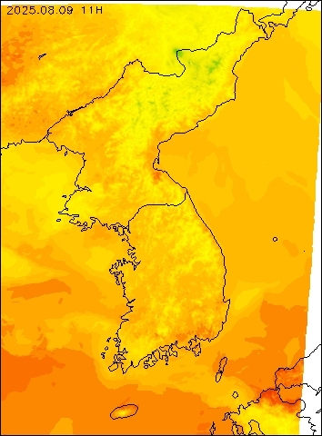 2025-08-09 11 : 00