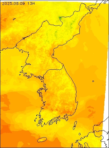 2025-08-09 13 : 00