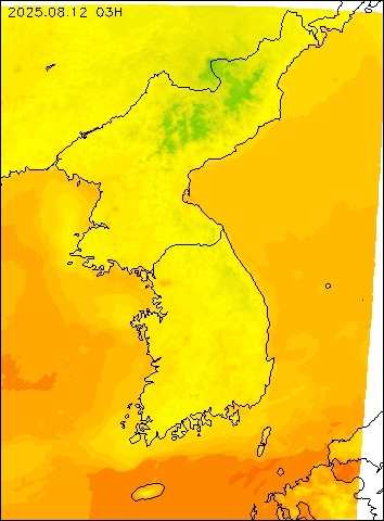 2025-08-12 03 : 00