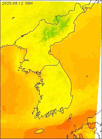 2025-08-12 06 : 00