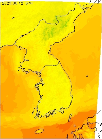 2025-08-12 07 : 00