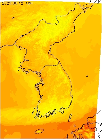 2025-08-12 10 : 00