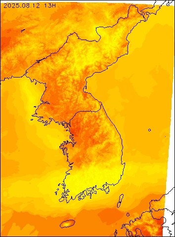 2025-08-12 13 : 00