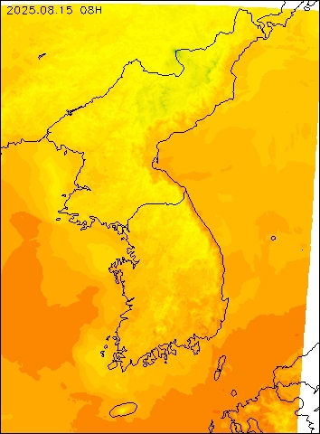 2025-08-15 08 : 00