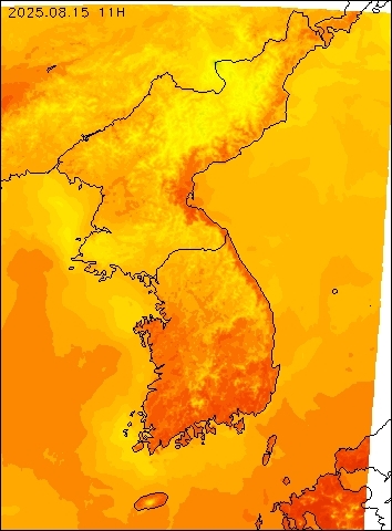 2025-08-15 11 : 00