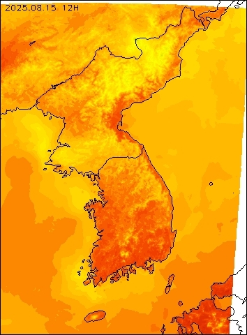 2025-08-15 12 : 00