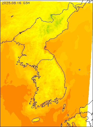 2025-08-16 03 : 00