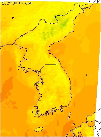 2025-08-16 05 : 00