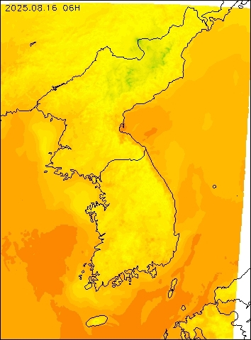 2025-08-16 06 : 00
