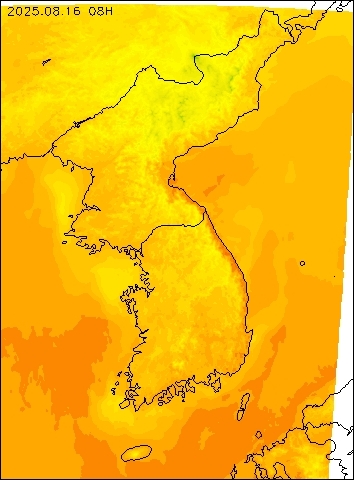 2025-08-16 08 : 00