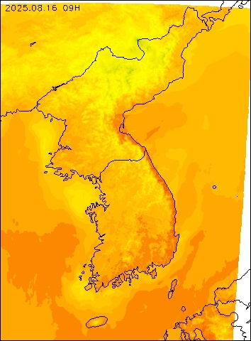 2025-08-16 09 : 00