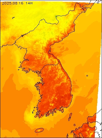 2025-08-16 14 : 00