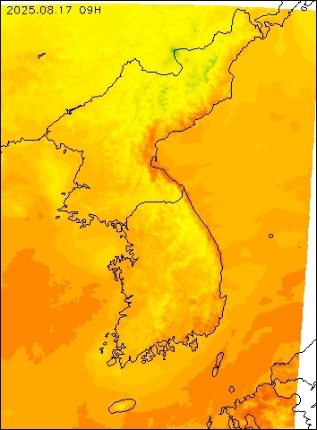 2025-08-17 09 : 00