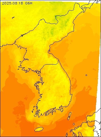 2025-08-18 06 : 00