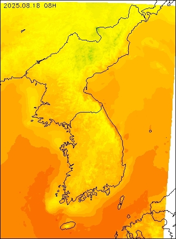 2025-08-18 08 : 00