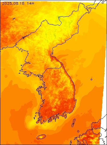 2025-08-18 14 : 00