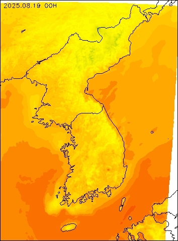 2025-08-19 00 : 00