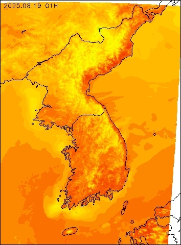 2025-08-19 01 : 00