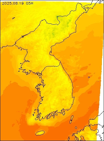 2025-08-19 05 : 00