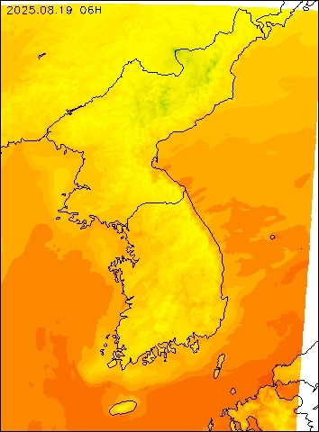 2025-08-19 06 : 00