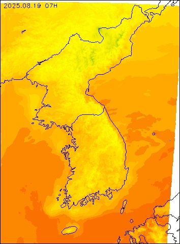 2025-08-19 07 : 00