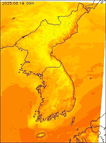 2025-08-19 09 : 00