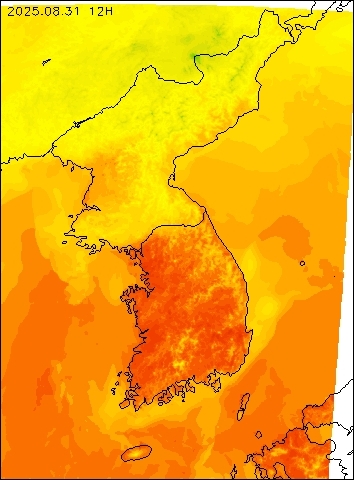 2025-08-31 12 : 00