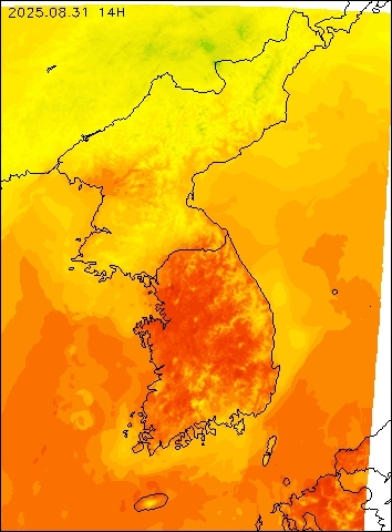 2025-08-31 14 : 00